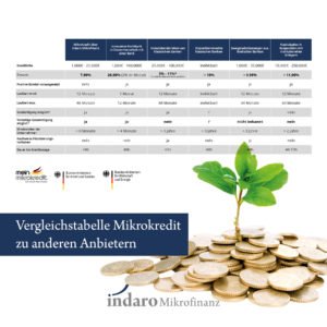 Mikrokredite im Vergleich zu anderen Banken